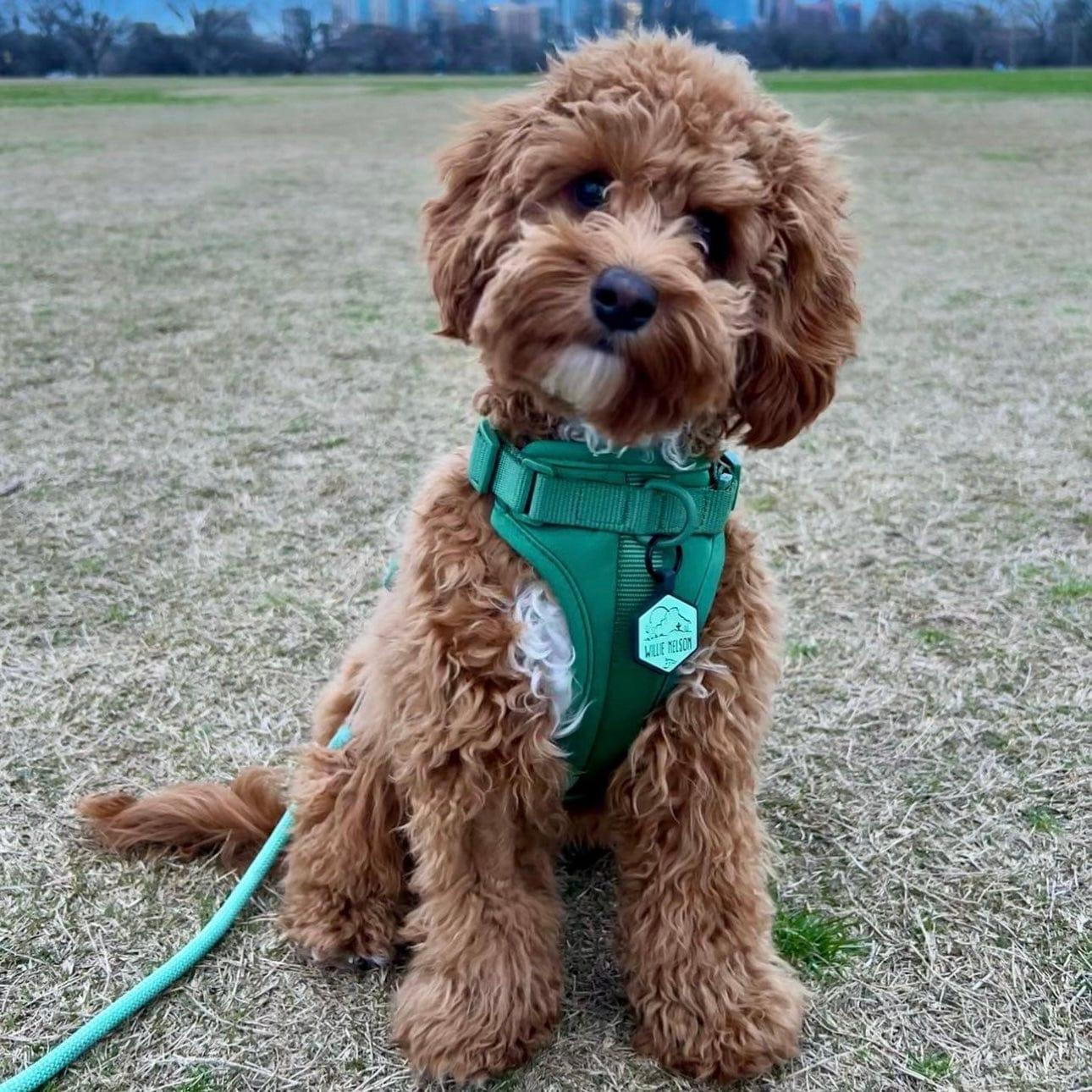 Aqua Silicone ID Tag - Image 4