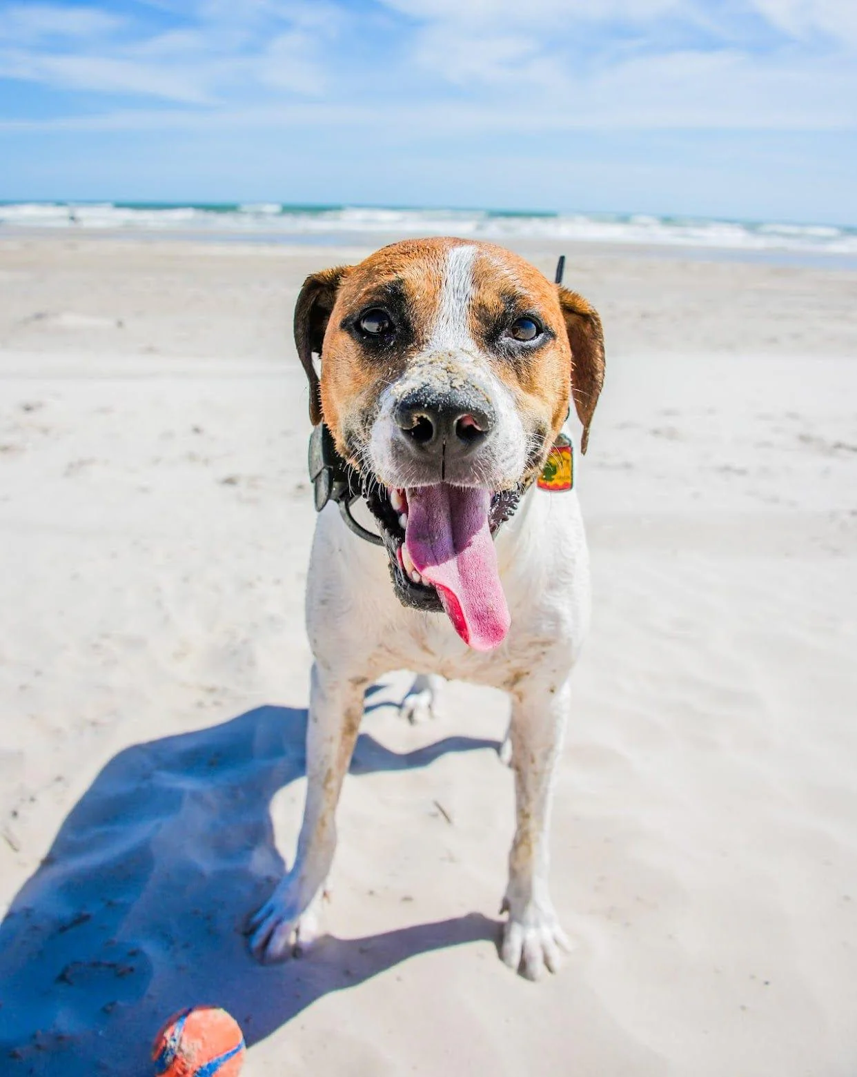 Beer Me! Silicone ID Tag - Image 5