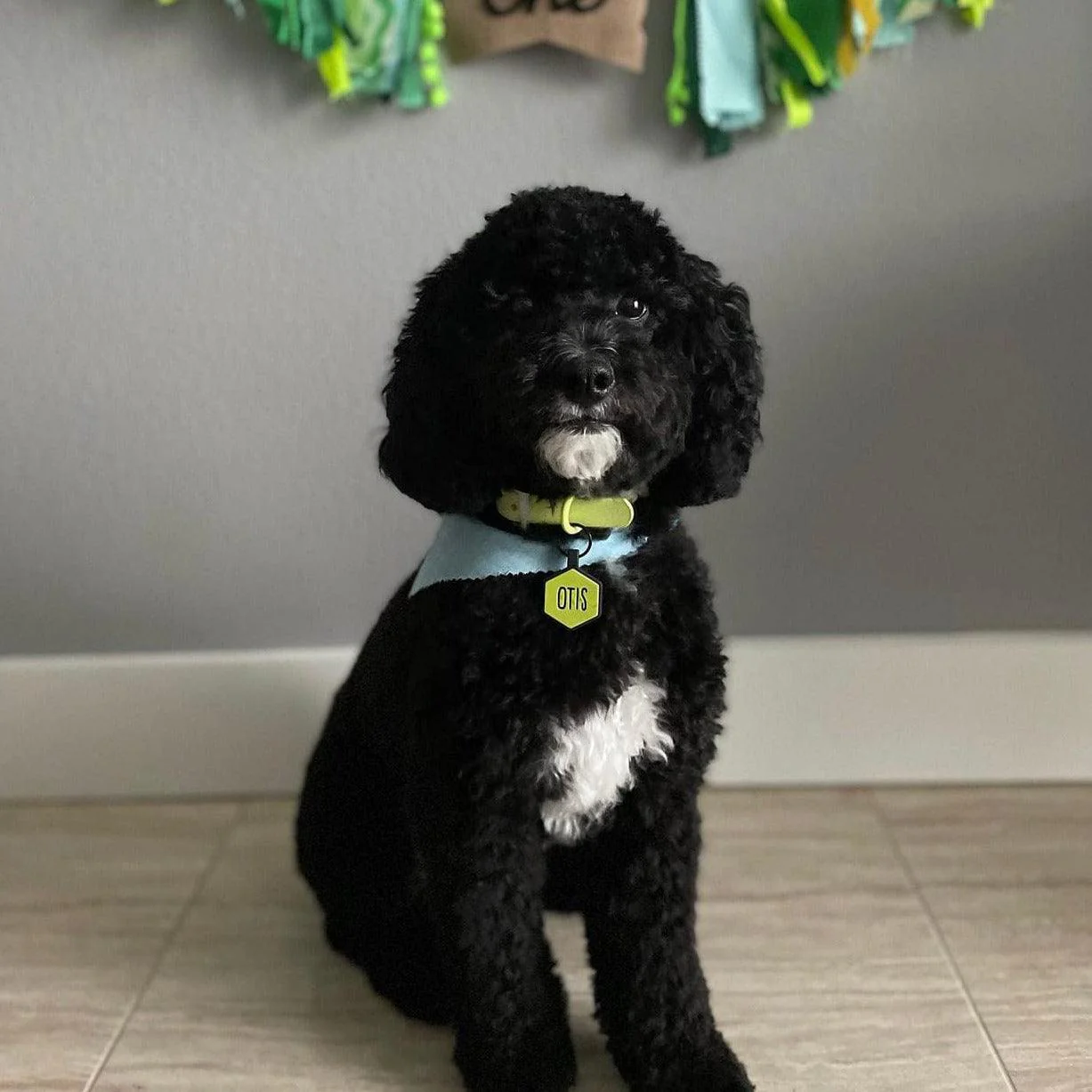 Chartreuse Silicone ID Tag - Image 4