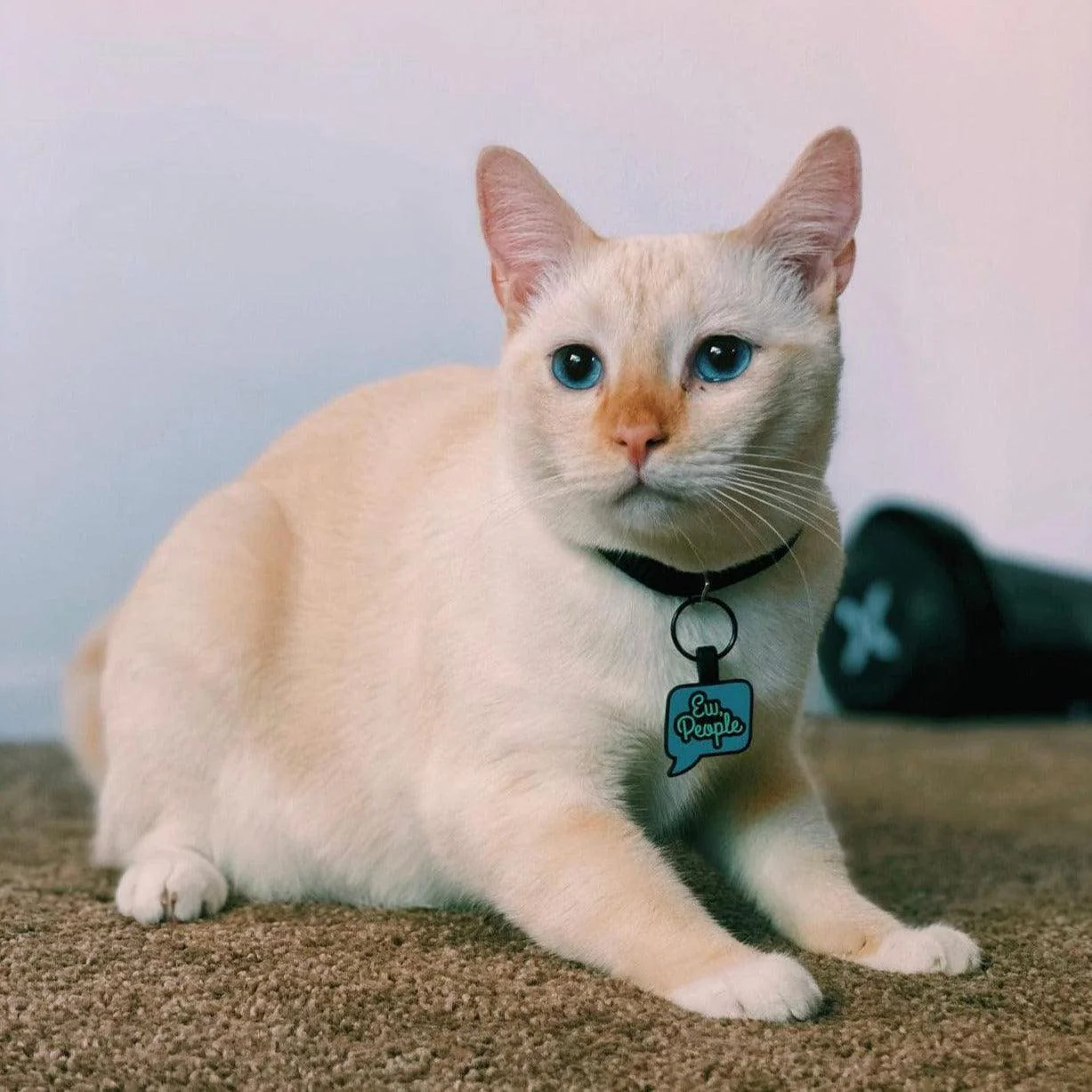 Ew, People Silicone Cat ID Tag - Image 4