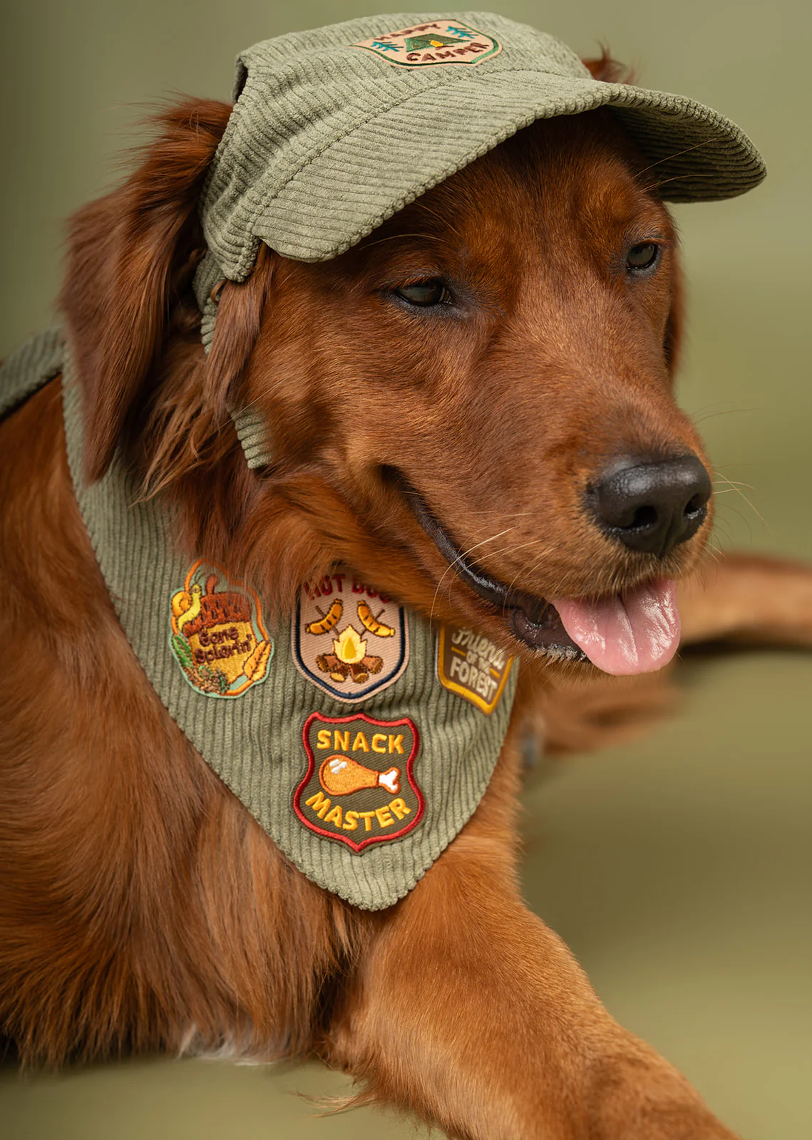 Corduroy Dog Baseball Hat | Comfortable & Customizable - Image 5