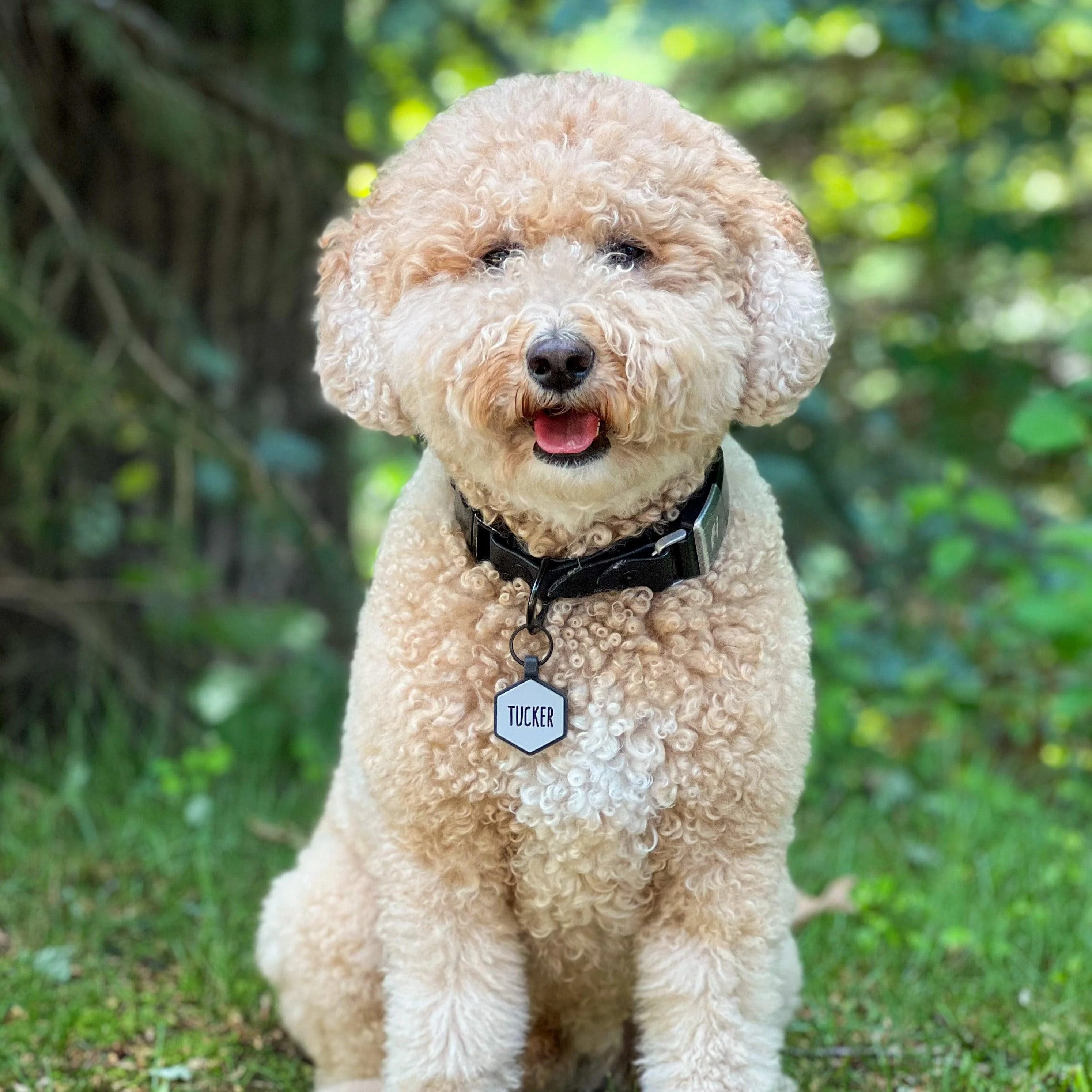 Grey Silicone ID Tag - Image 4