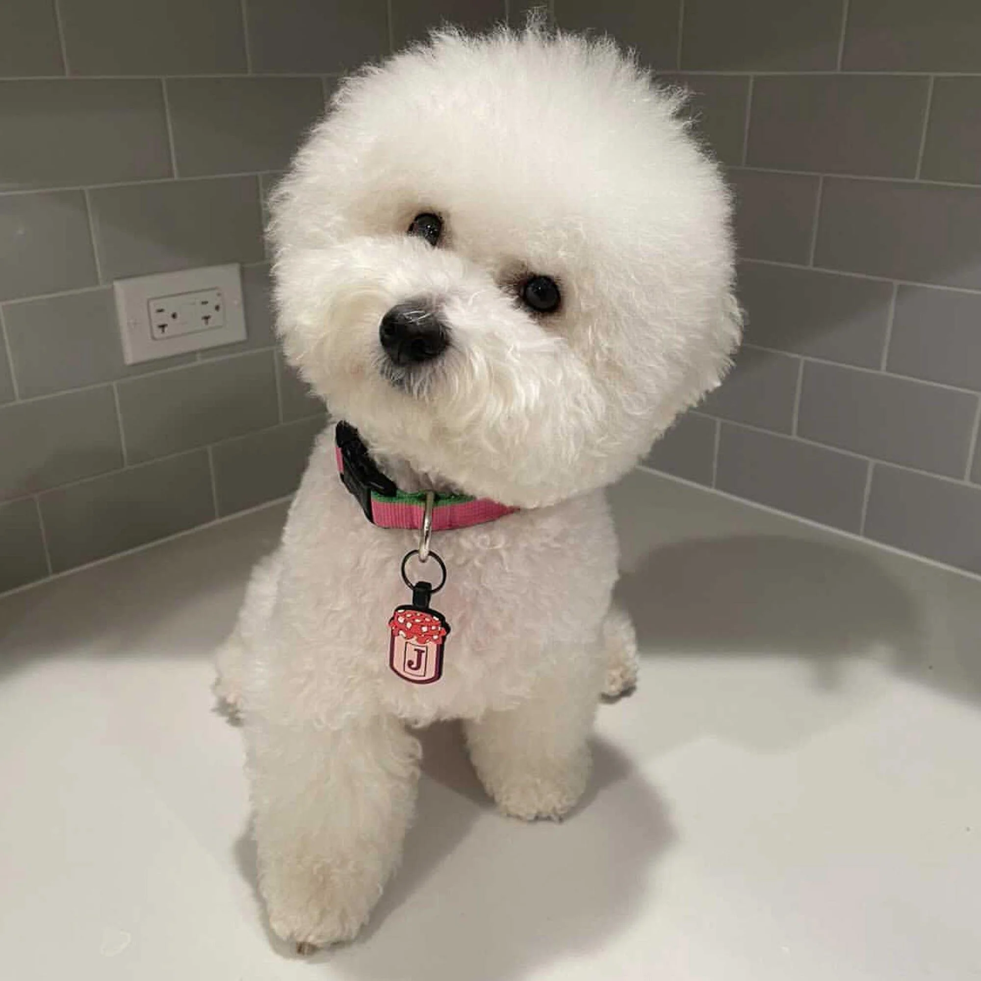 Jelly Silicone ID Tag - Image 4