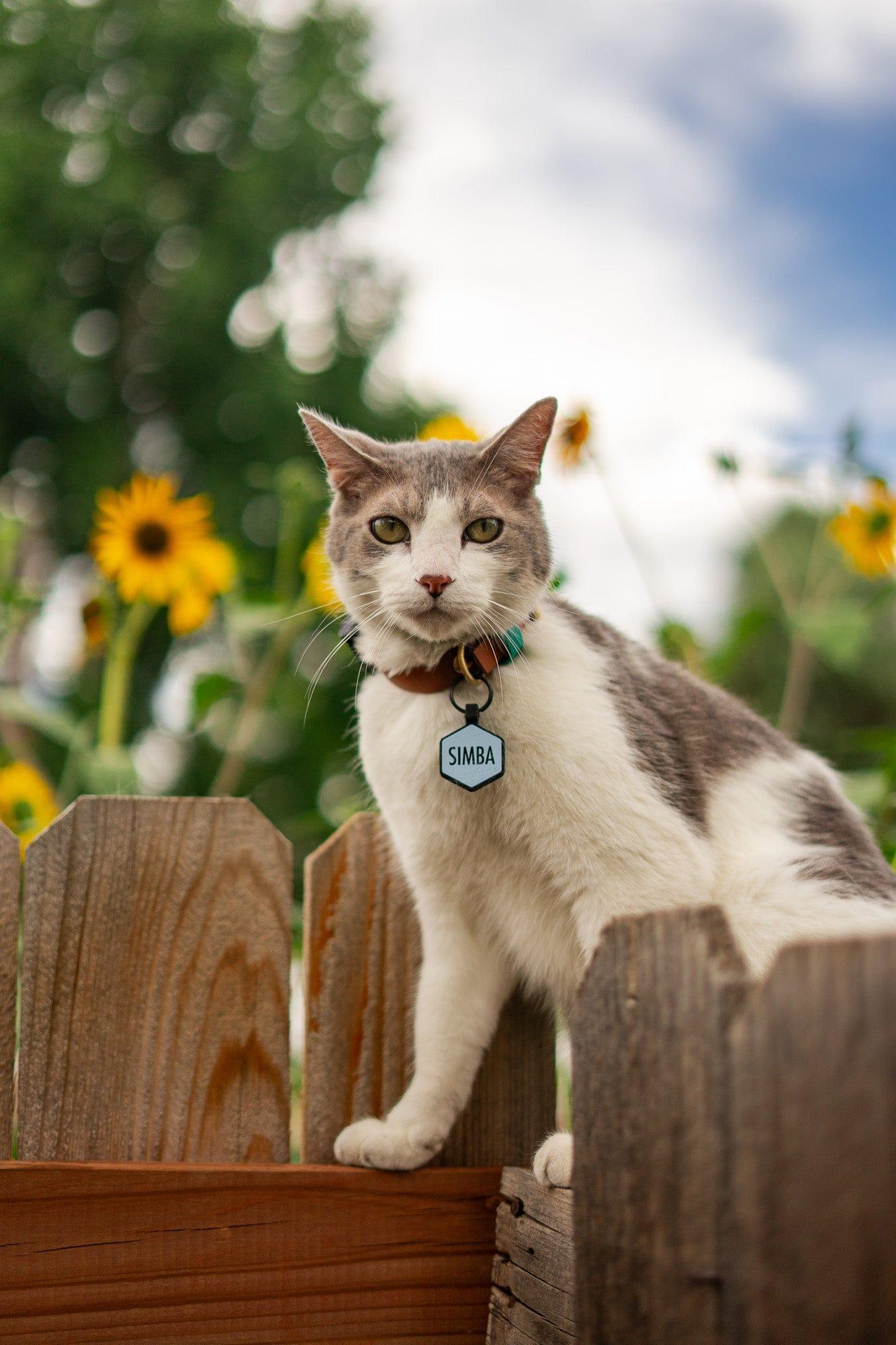 Mini Classic ID Tag - Image 4