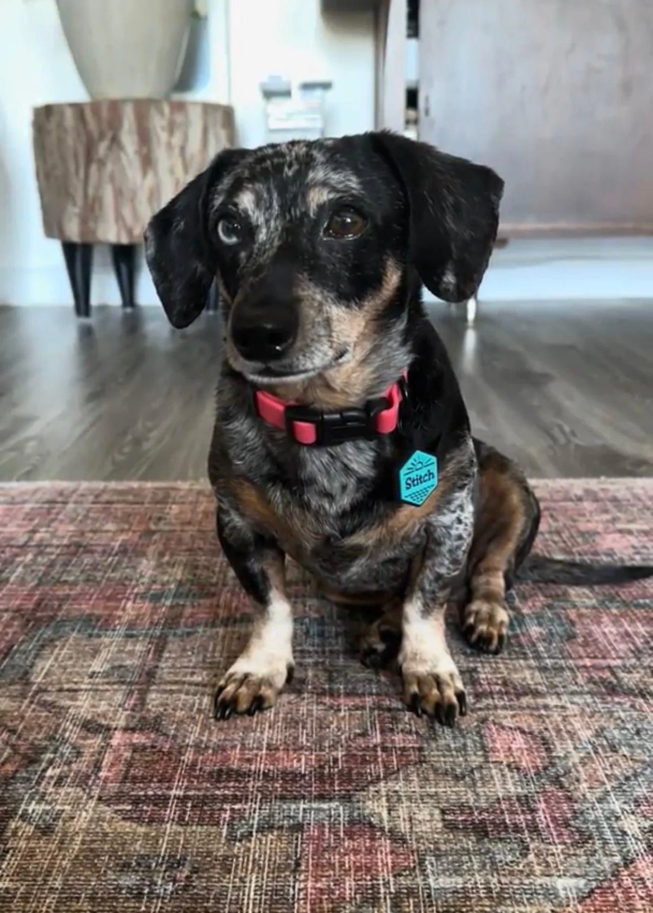 Mini Classic ID Tag - Image 5