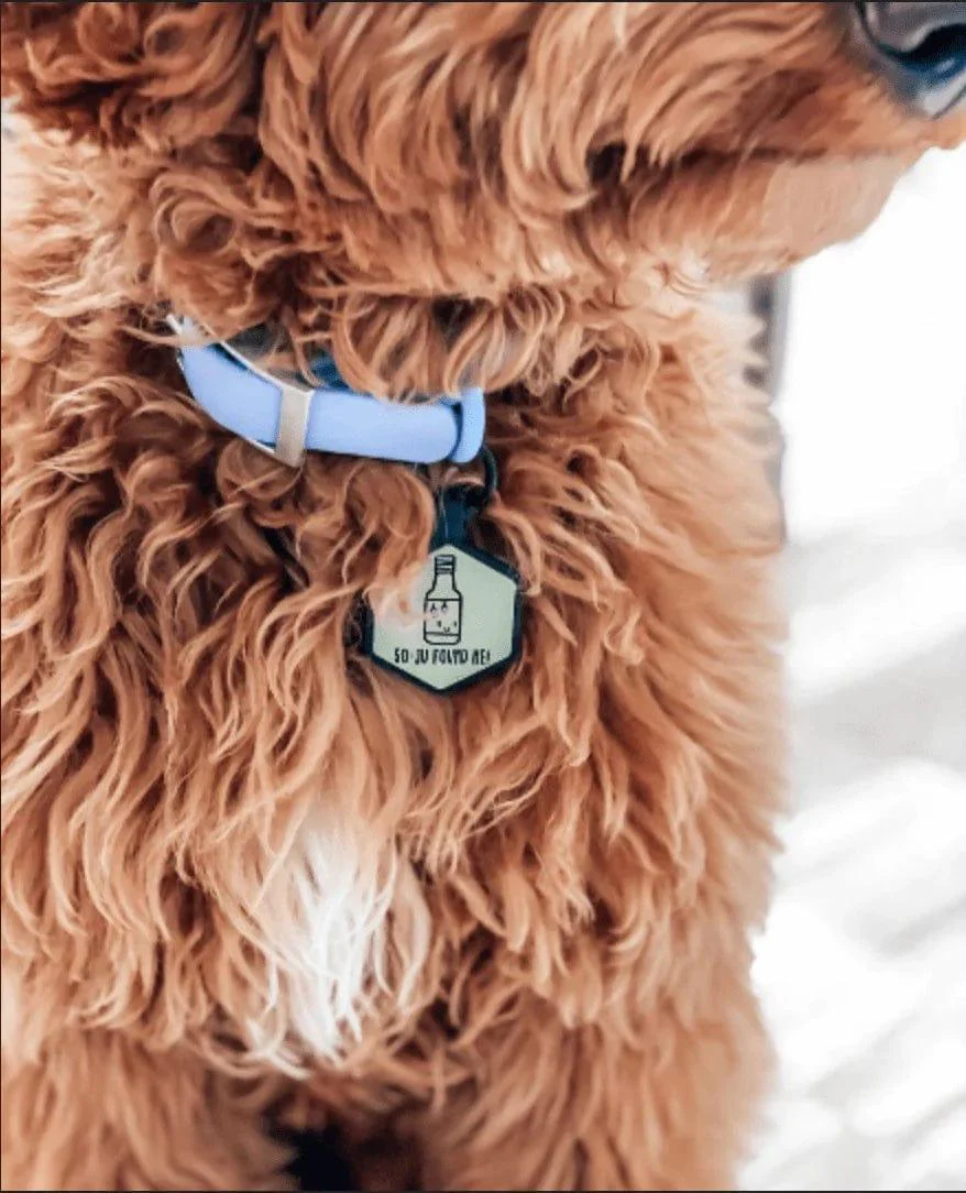 Custom Artwork Pet ID Tag - Mini Size - Image 7