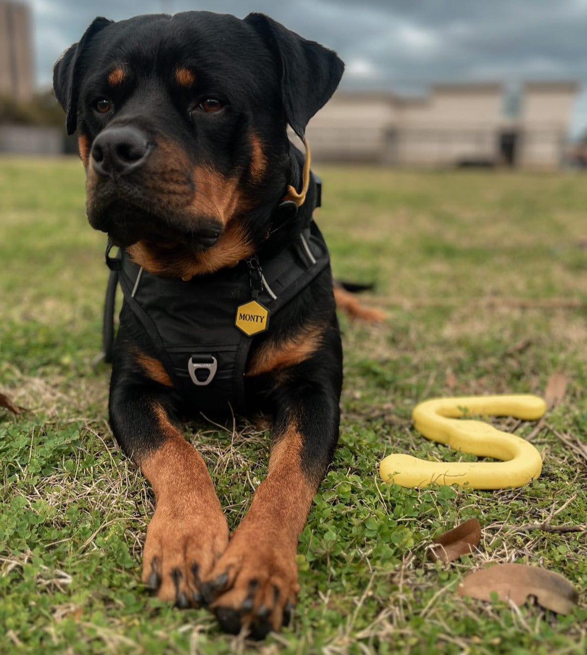 Mustard Yellow Silicone ID Tag - Image 4