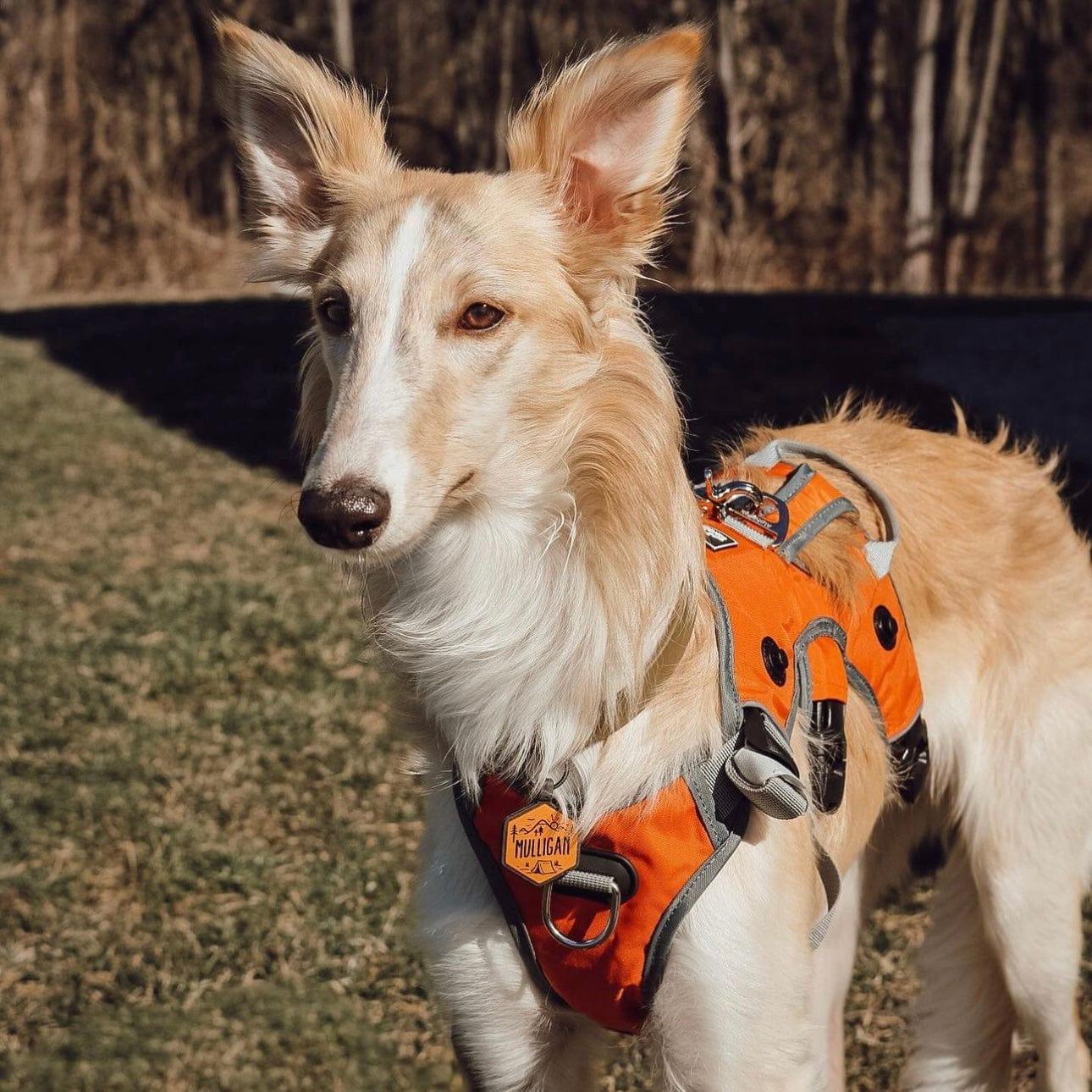 Orange Silicone ID Tag - Image 4