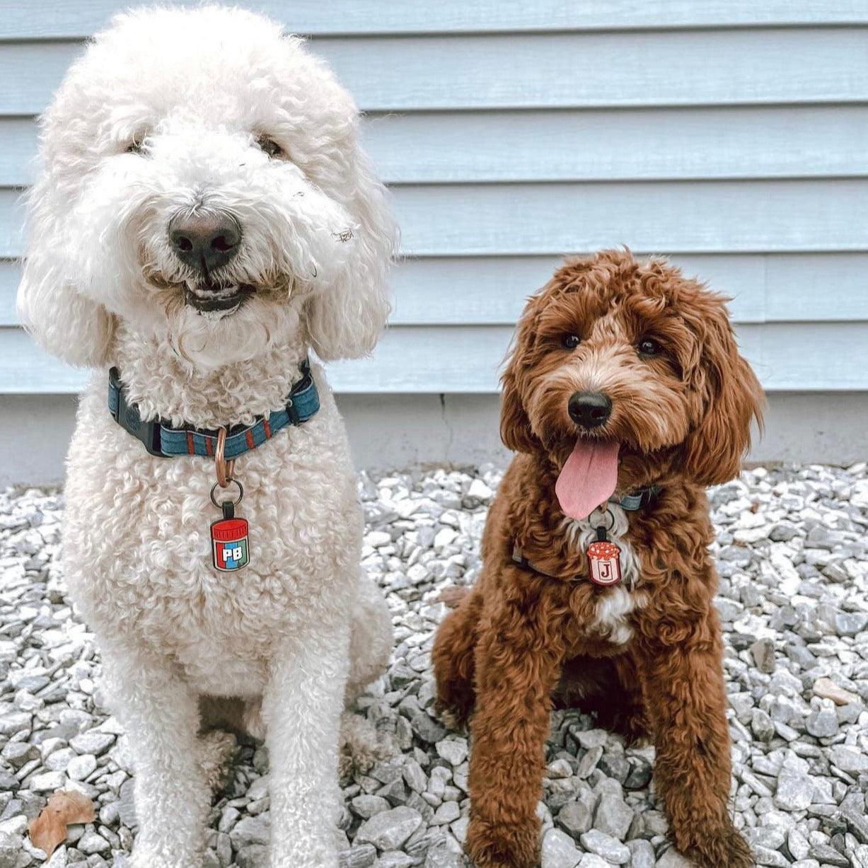 PB&J BFF Silicone ID Tag Set - Image 5