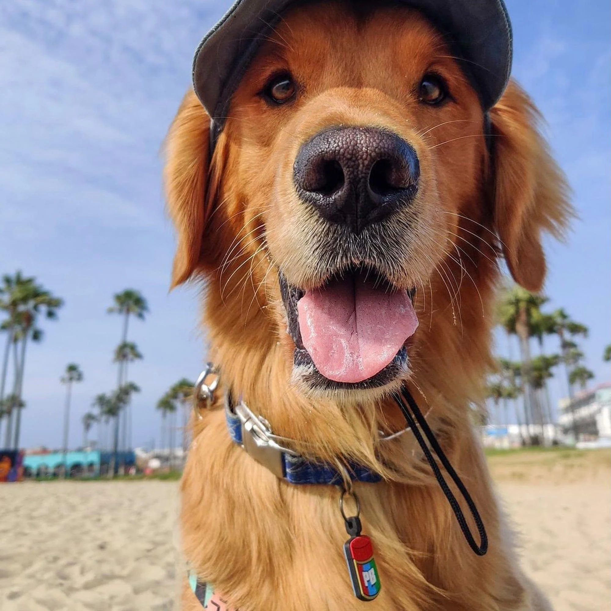 Peanut Butter Silicone ID Tag - Image 5