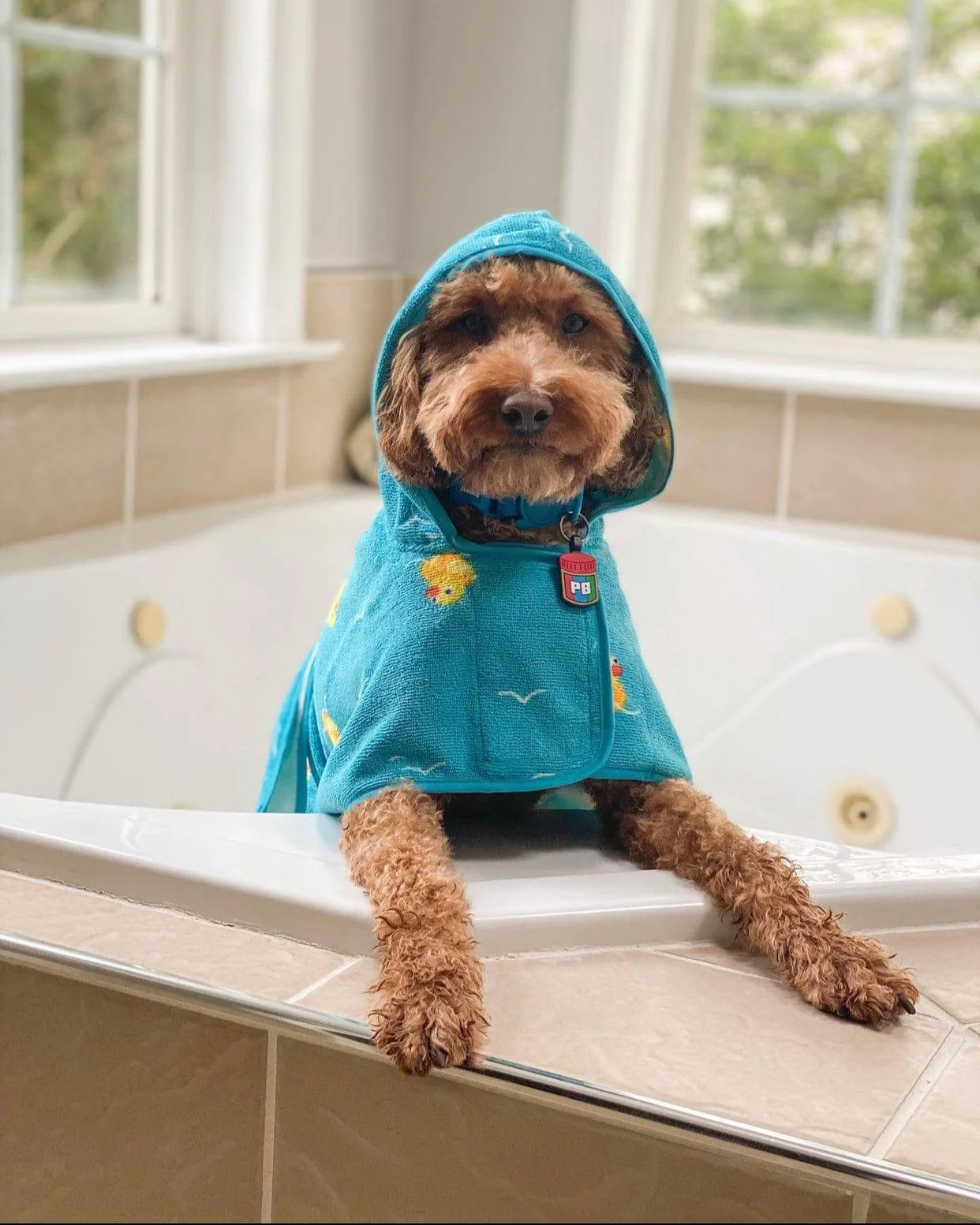 Peanut Butter Silicone ID Tag - Image 6