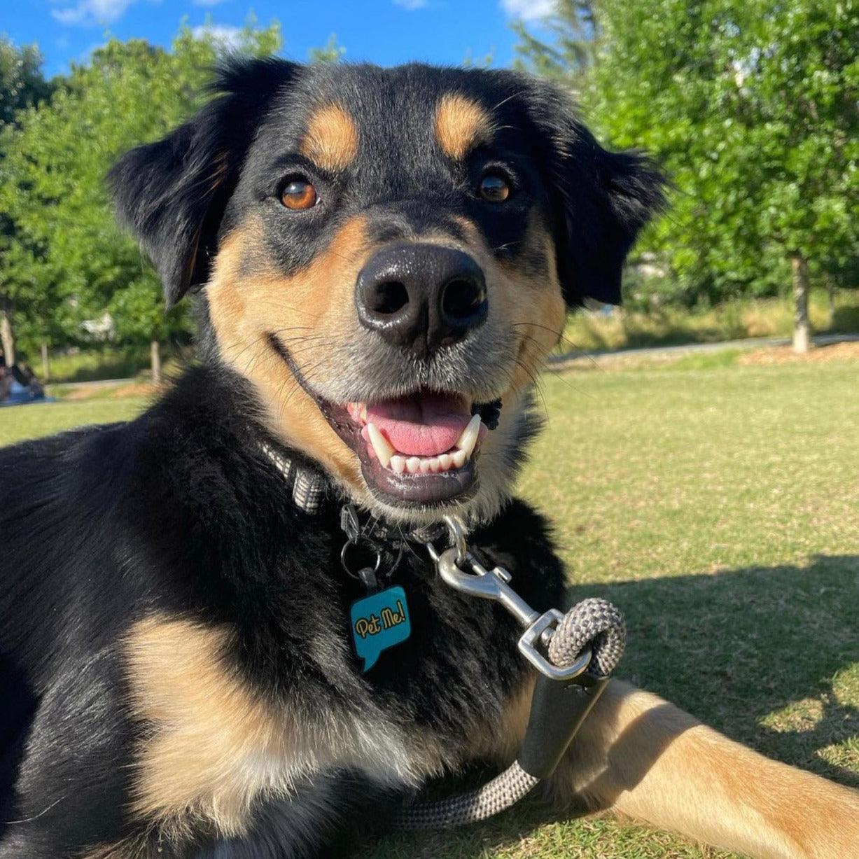 Pet Me! Silicone ID Tag - Image 5