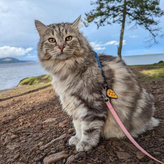 Pizza Your Heart Silicone ID Tag - Image 6