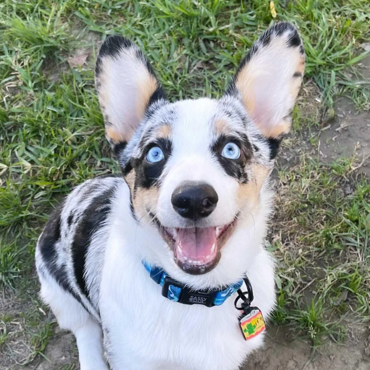 QR Code "Beer Me!" Silicone ID Tag - Image 4