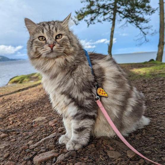 QR Code Pizza Your Heart Silicone ID Tag - Image 6