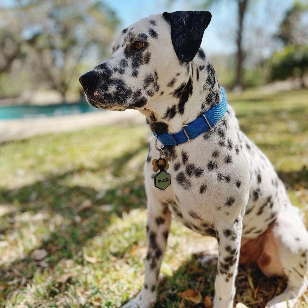 Sage Silicone ID Tag - Image 4