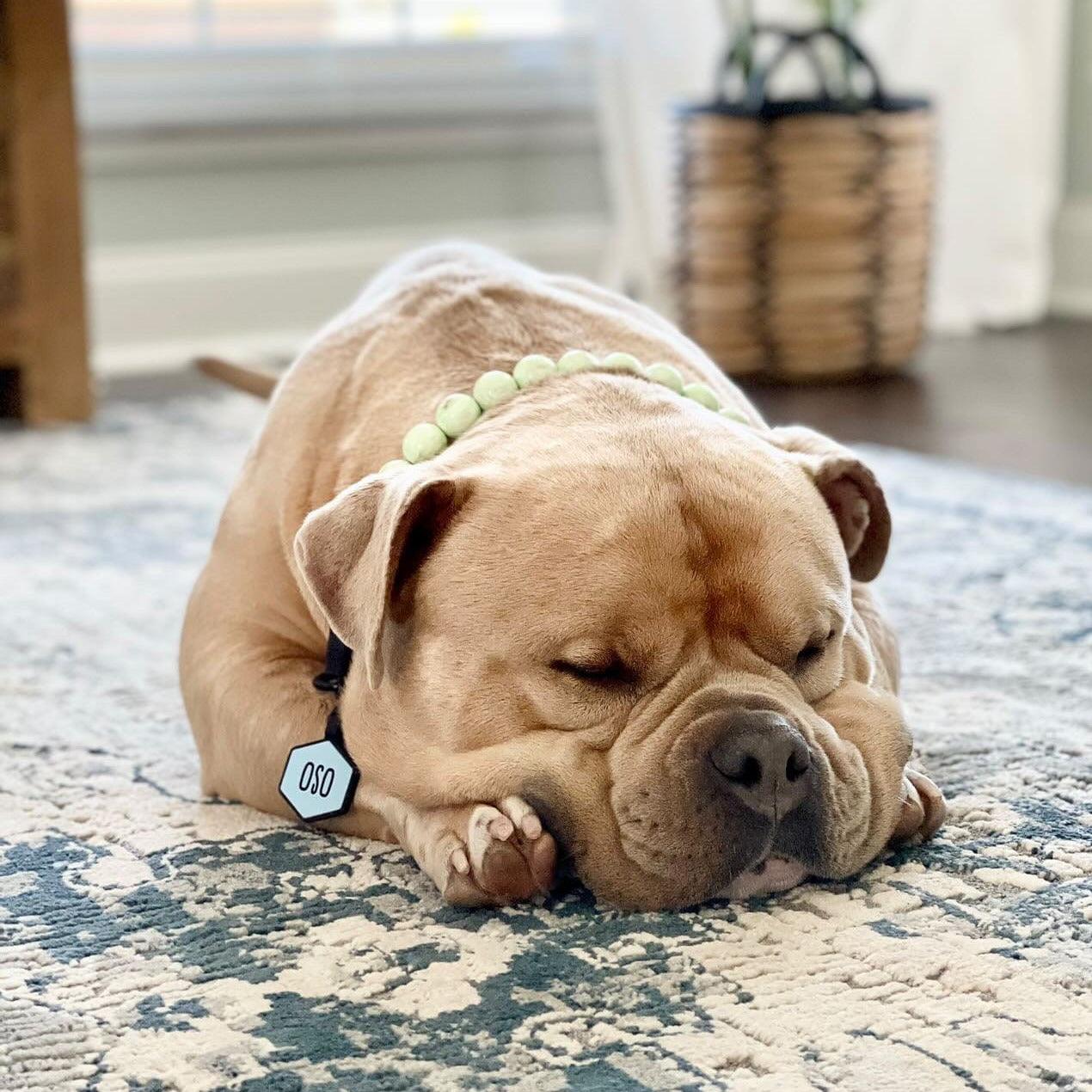 Sky Blue Silicone ID Tag - Image 4