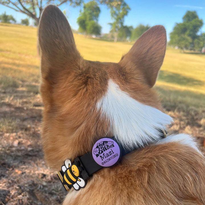 AirTag Holder Slide-On Silicone Pet ID Tag | Fright Fest Halloween Designs - Image 6