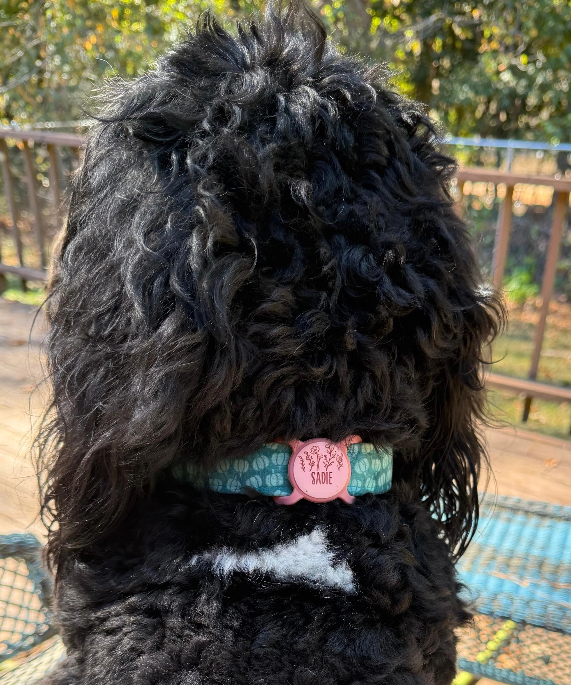 Custom Artwork Pet ID Tag | Slim Slide-On - Image 5