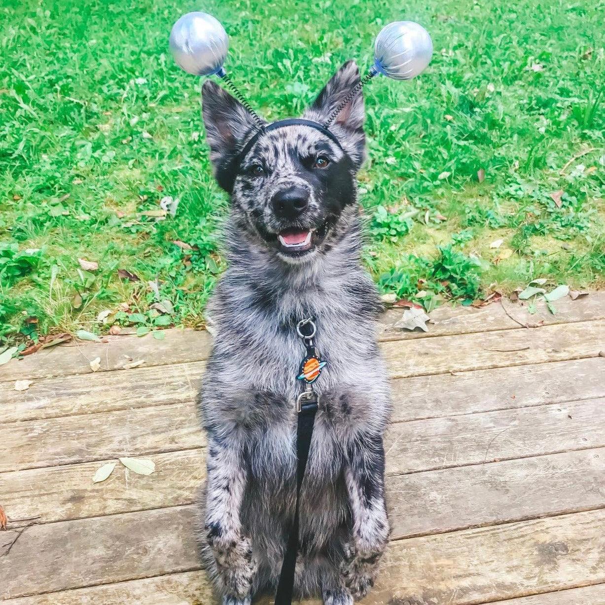 Spaced Out Silicone ID Tag - Image 4