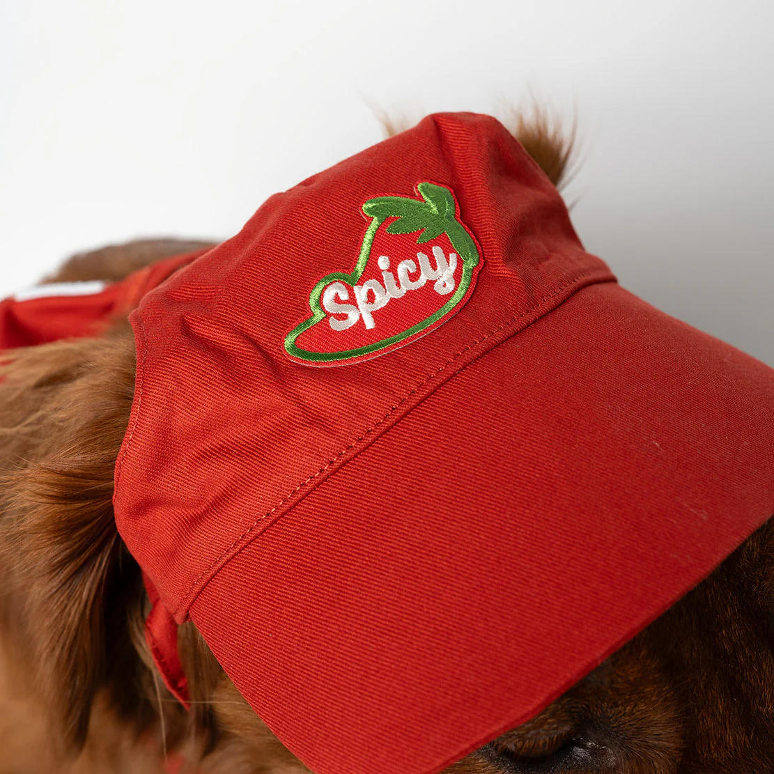 Cotton Adventure Dog Hat | Comfortable & Customizable - Image 6