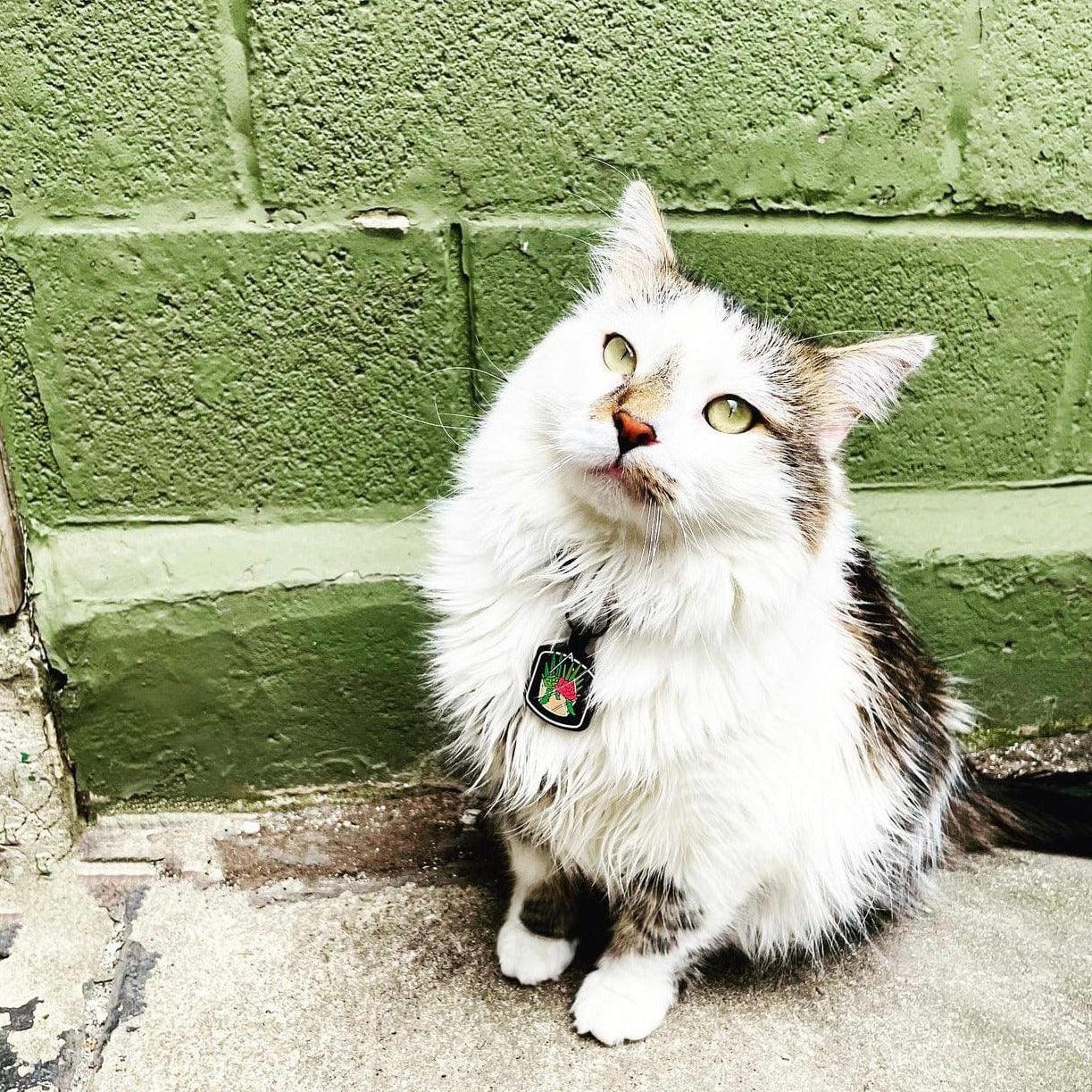 Succs To Succ Silicone ID Tag - Image 4