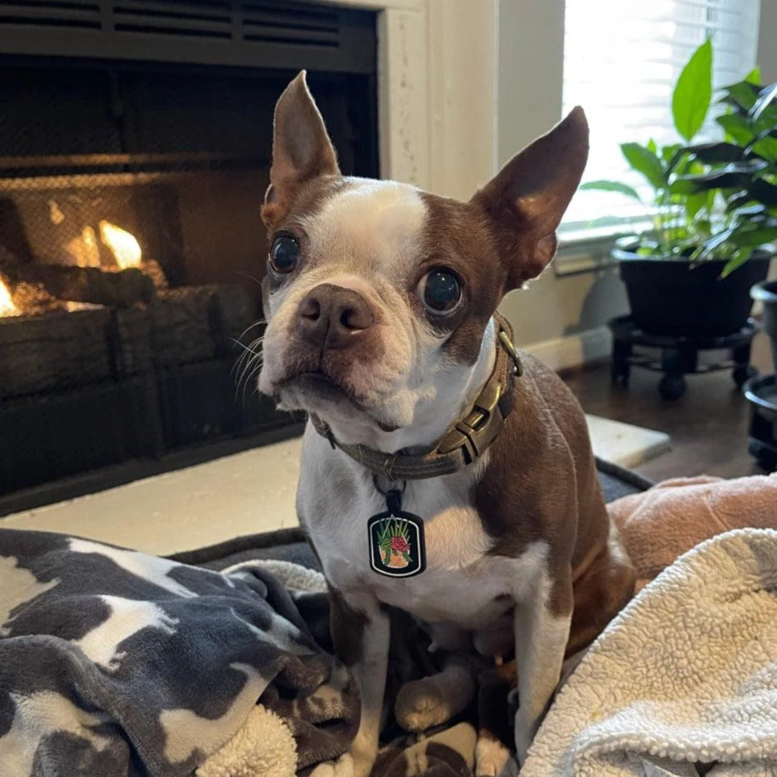 Succs To Succ Silicone ID Tag - Image 5