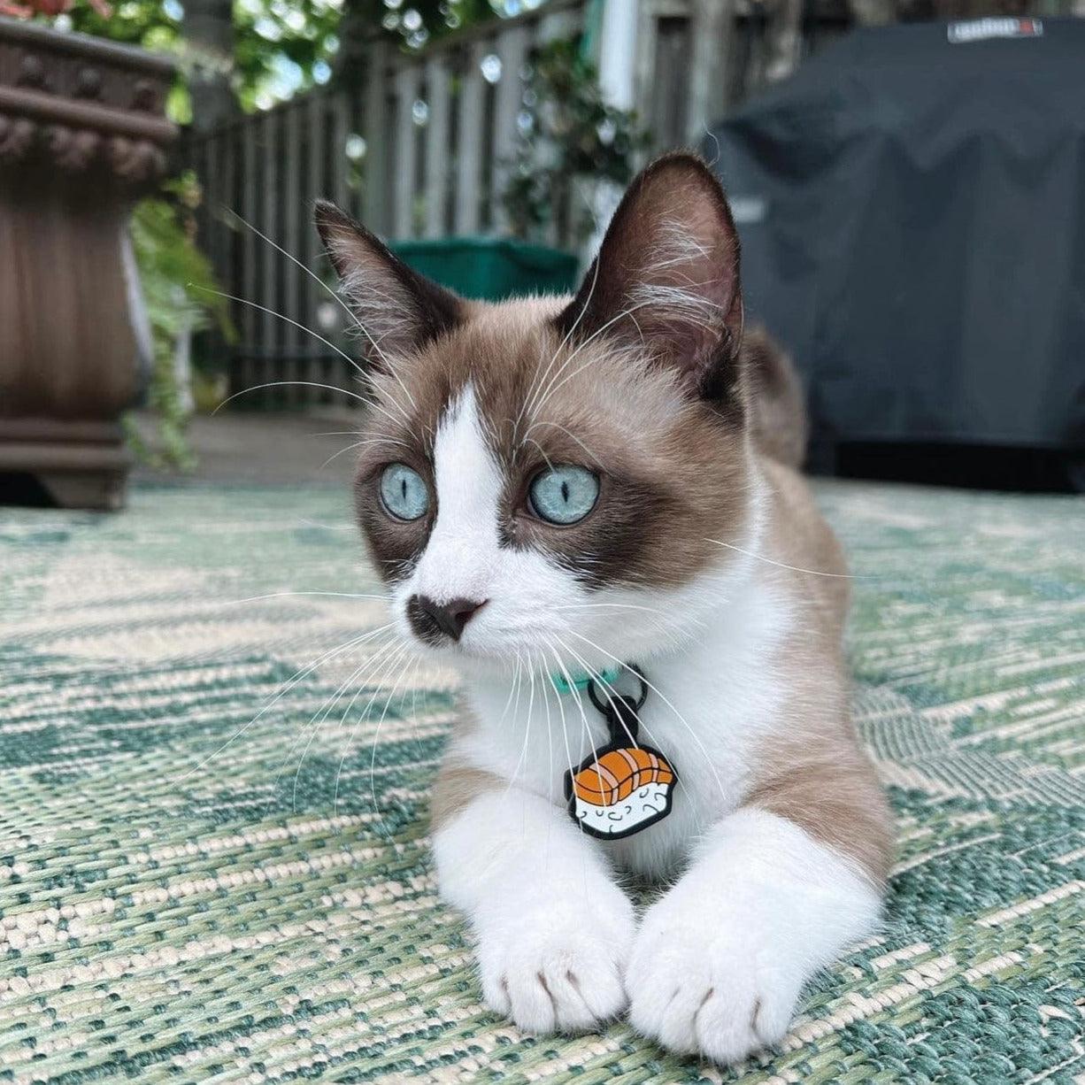 Sushi Silicone Cat ID Tag - Image 4
