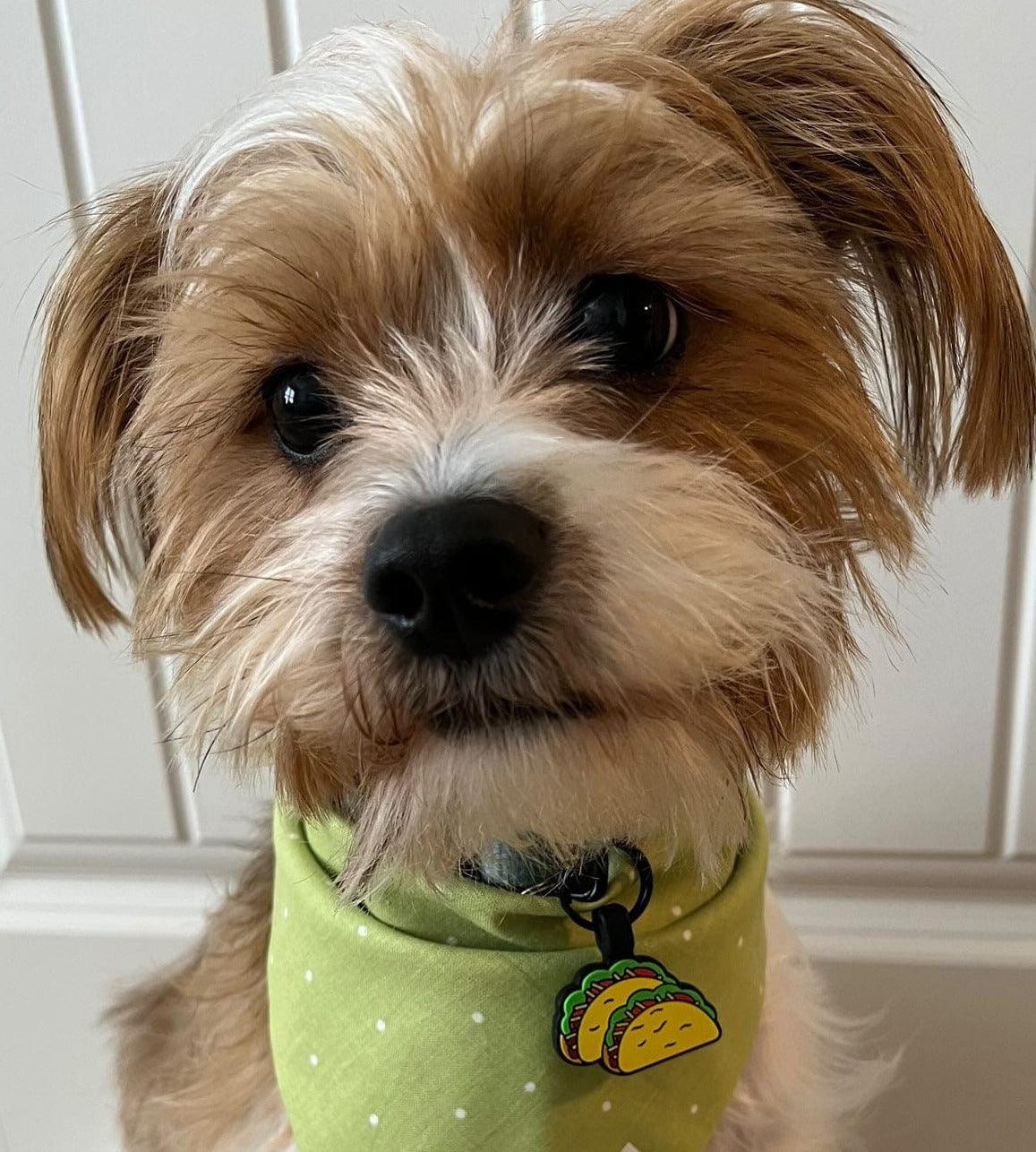 Taco Tuesday Silicone ID Tag - Image 4