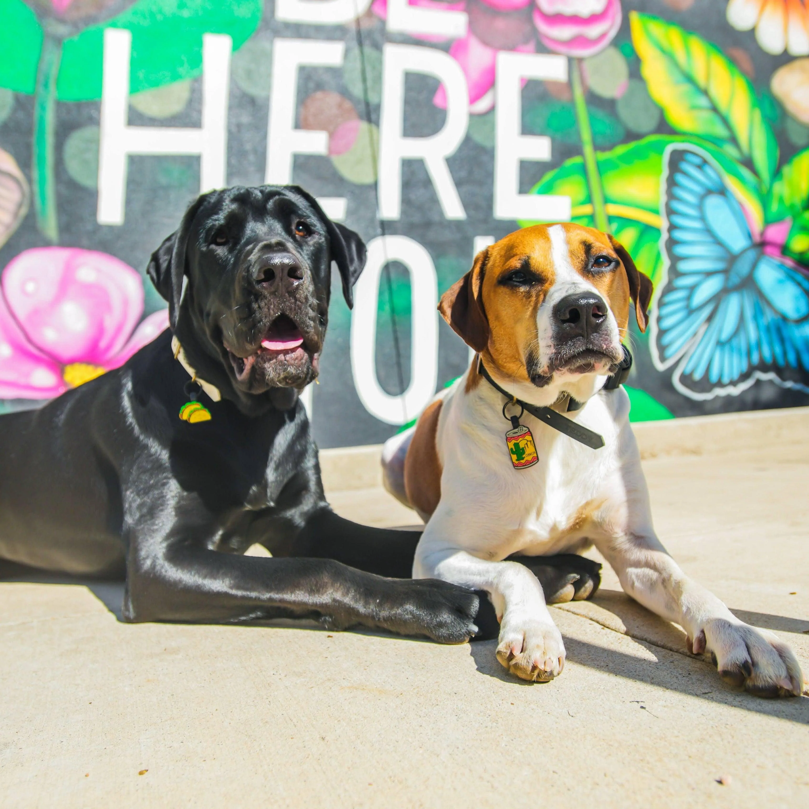 Taco Tuesday Silicone ID Tag - Image 5