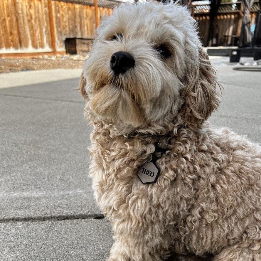 Taupe Silicone ID Tag - Image 4