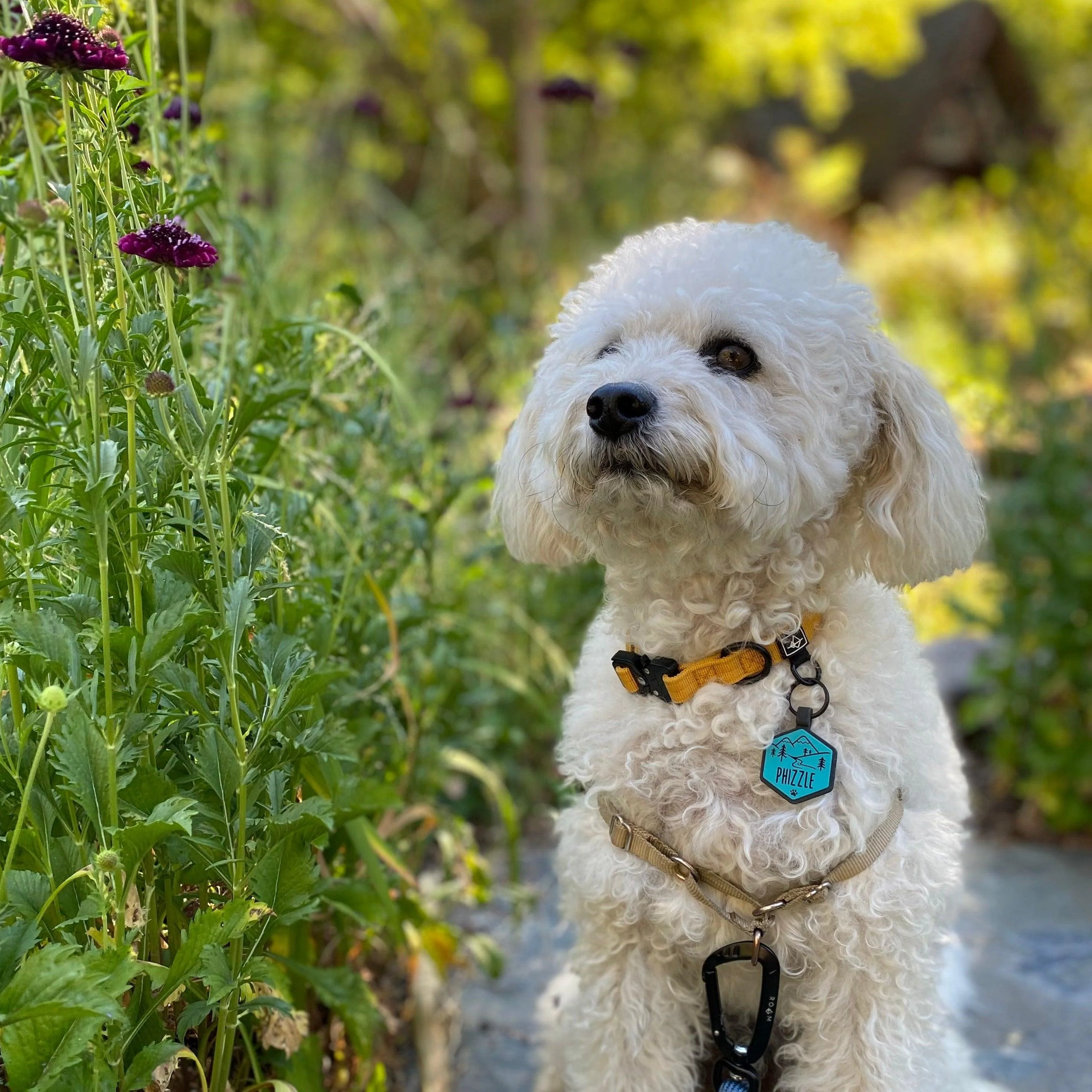 Turquoise Silicone ID Tag - Image 4