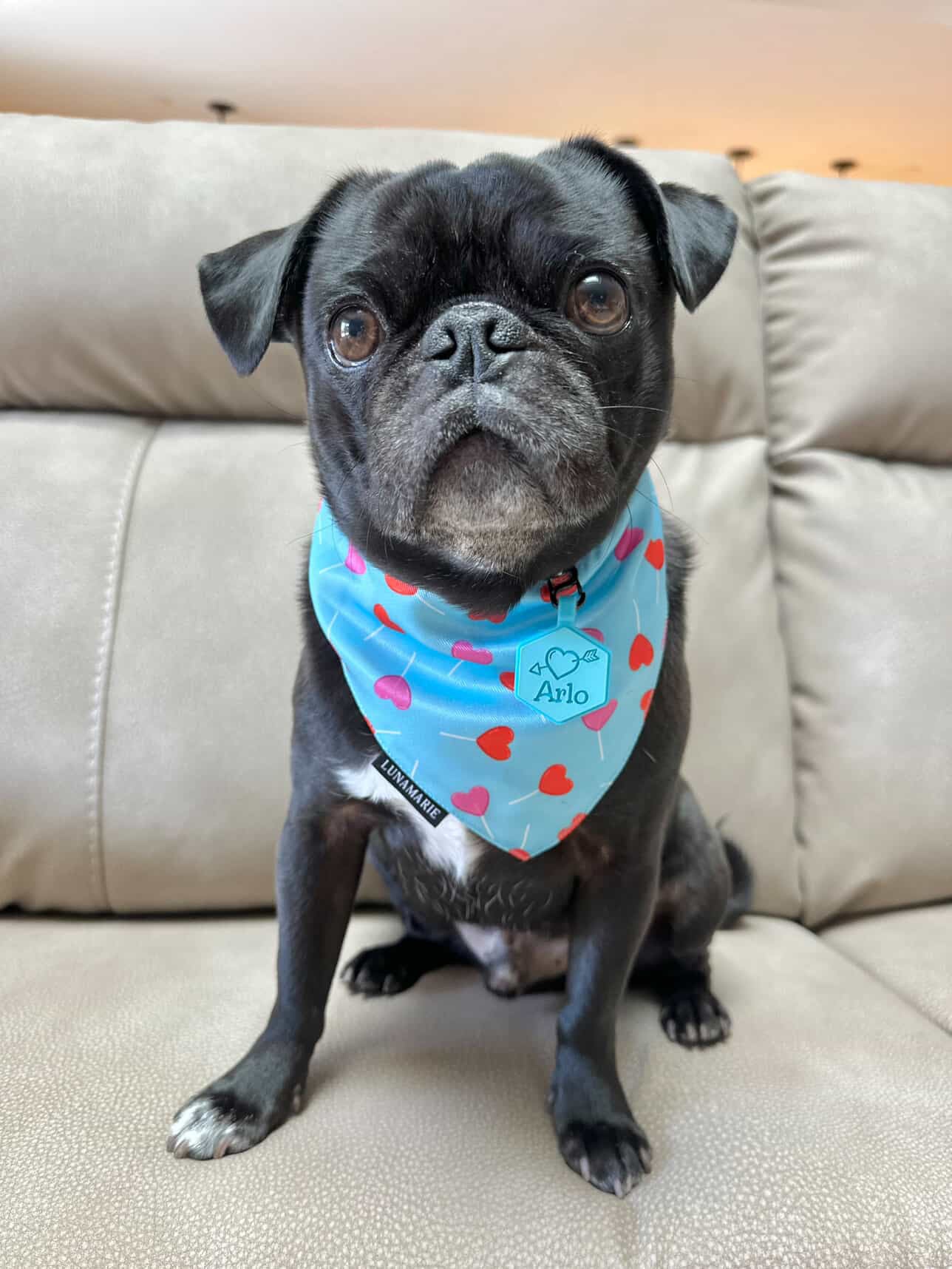 Valentine's Day Silicone ID Tags - Image 4