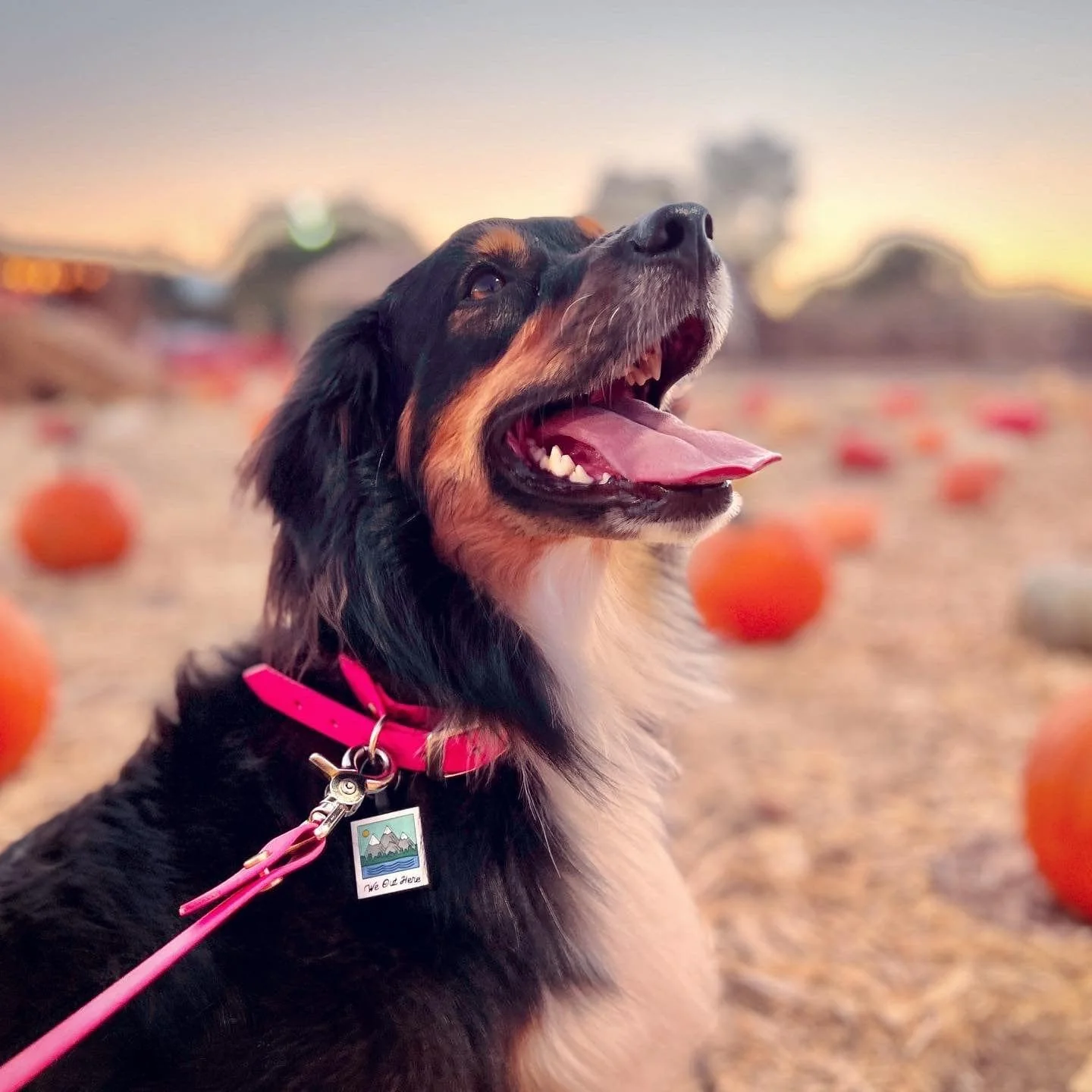 We Out Here Silicone ID Tag - Image 4